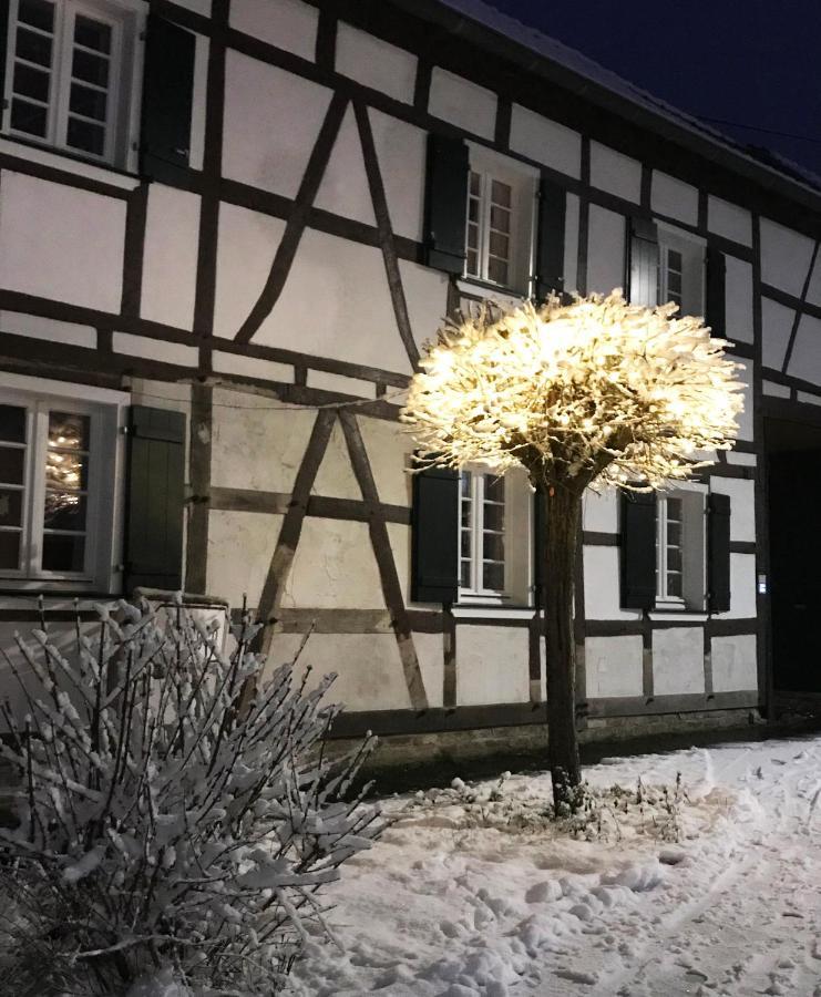 Gemuetliche Fachwerkwohnung Alfter Kültér fotó